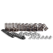1.8T 20V Sport valve spring set FERREA Ferrea FER-18T-SRKIT