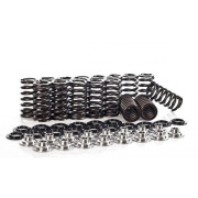 Снимка на 2.0T TSI Sports Valve Springs Set FERREA Ferrea fer-tsi-srkit Снимка на 2.0T TSI Sports Valve Springs Set FERREA Ferrea fer-tsi-srkit