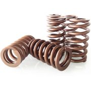 Снимка  на 2.5 TFSI EA855 sport valve spring set BAR-TEK® BAR-TEK Motorsport 21rs337