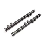 2.5 TFSI EA855 Sports-Camshaft-Kit SCHRICK 260° SCHRICK 0492xx