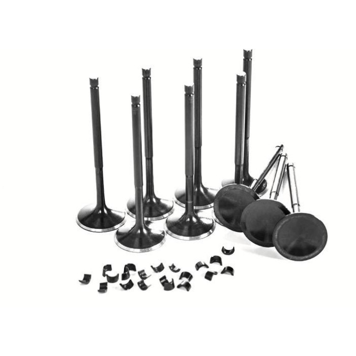 Снимка на 2.5 TFSI Audi RS3 & TTRS intake SUPERTECH valves Supertech 21rs414