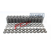 BMW E30 E36 1.8 2.0 M42 S42 Supertech valve spring Supertech SPRK-H1005D-BM-16