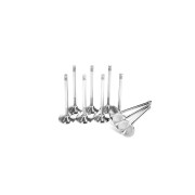 Ford Cosworth 2.0 16V (N5B) 2.0 16V Ferrea exhaust Ferrea F6746