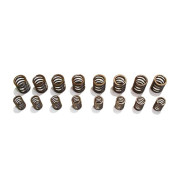 Porsche 911 Sports-Valve-Springs-Set SCHRICK SCHRICK 001302064_031