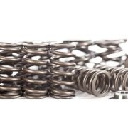 Снимка  на Audi 2.7T 30V Sports Valve Springs Set FERREA Ferrea fer-30v-srkit