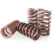 Снимка  на Audi R8 V8 & V10 & Lamborghini Huracan V10 Sport- valve springs-set BAR-TEK Motorsport 21r8014