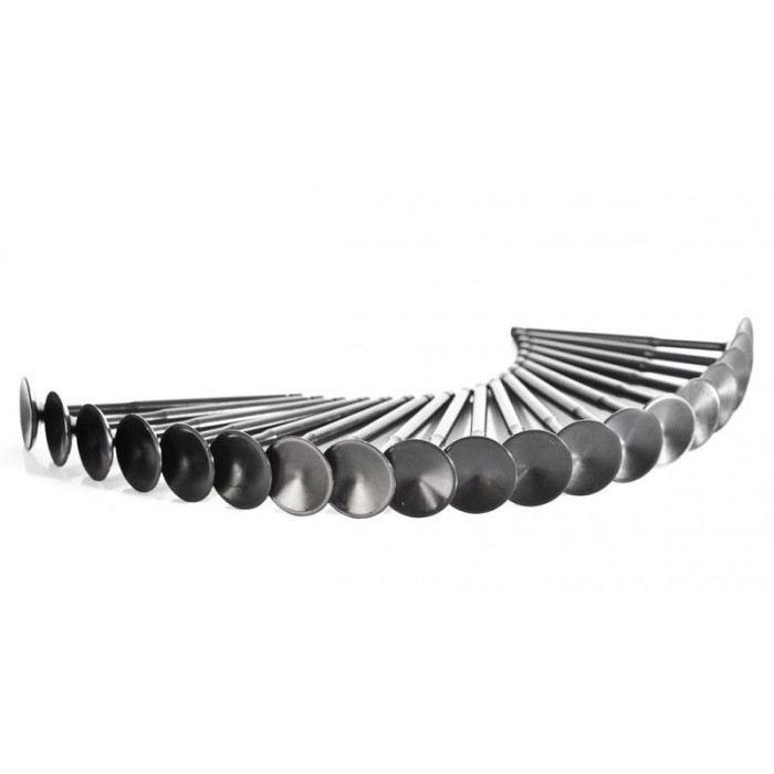 Снимка на Audi 2.7L Biturbo intake Valves SUPERTECH Supertech st-30v-aivn