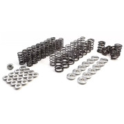 Audi 2.7L Biturbo S4 & RS4 Sport Valve Spring Kit BAR-TEK® BAR-TEK Motorsport 2127t34