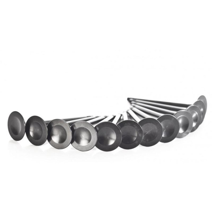 Снимка на Audi 2.7T 30V exhaust valves SUPERTECH Supertech st-30v-aevn-1103