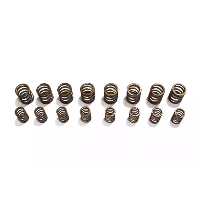 Снимка на Audi 5 Cyl. 2 valve Sports-Valve-Springs-Set SCHRICK 001302062_26