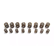 Снимка на Audi 5 Cyl. 2 valve Sports-Valve-Springs-Set SCHRICK 001302062_26 Снимка на Audi 5 Cyl. 2 valve Sports-Valve-Springs-Set SCHRICK 001302062_26