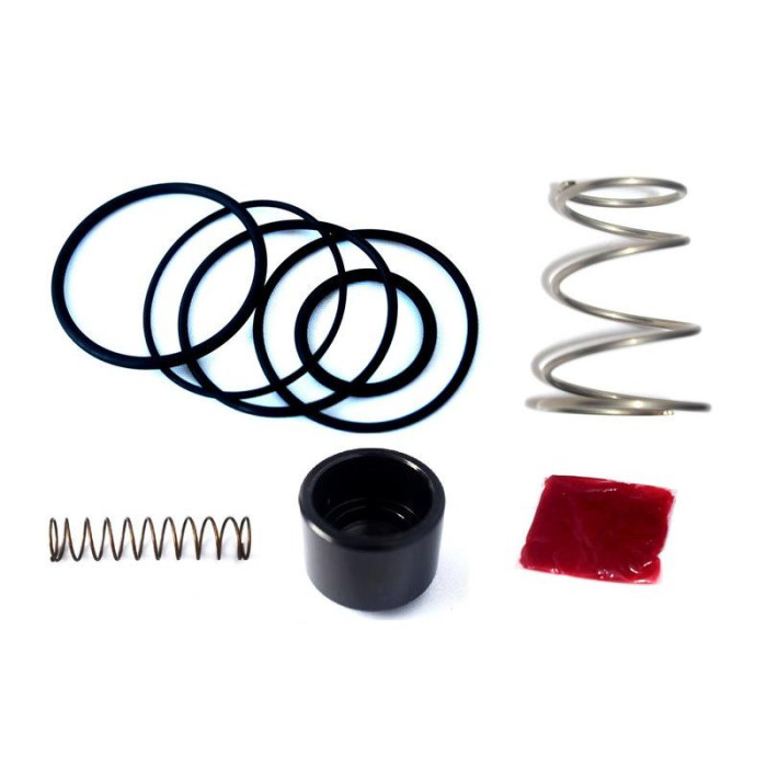 Снимка на Blow off FORGE valve service kit Forge Motorsport fmdvsk