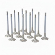 Снимка на BMW 3.0L N55, S55 Exhaust Valve Inconel Std ZRP VE-BMW-019-12 Снимка на BMW 3.0L N55, S55 Exhaust Valve Inconel Std ZRP VE-BMW-019-12