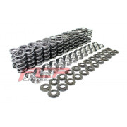 BMW M3 E46 3.2 S54B32 valve spring set Supertech SPRK-2521-2BM-T1