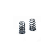 Снимка на BMW M3 S65 4.0 32V V8 valve spring set Supertech SPR-BMS65-BE1 Снимка на BMW M3 S65 4.0 32V V8 valve spring set Supertech SPR-BMS65-BE1