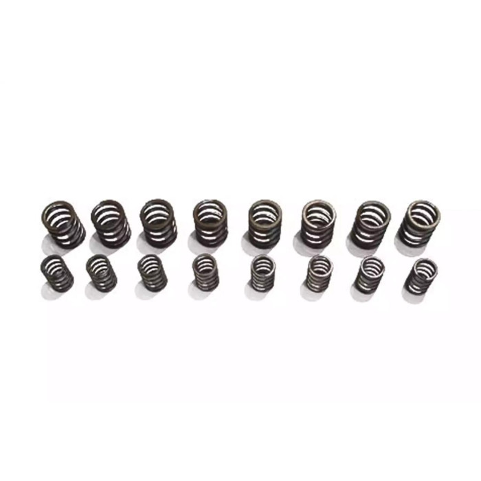 Снимка на Golf 1 GTI Sports-Valve-Springs-Set SCHRICK 001302062_001302026