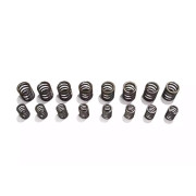 Снимка на Golf 1 GTI Sports-Valve-Springs-Set SCHRICK 001302062_001302026 Снимка на Golf 1 GTI Sports-Valve-Springs-Set SCHRICK 001302062_001302026