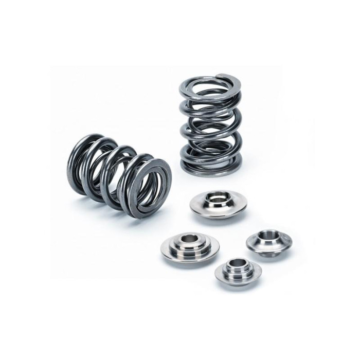 Снимка на Mitsubishi EVO 2.0 16V 4G63 valve springs kit  Supertech SPRK-M1005D