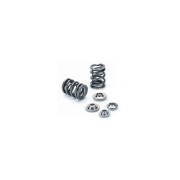 Opel / Vauxhall Z16 Z18LER A18XER valve springs Supertech SPRK-TS1012-Z18