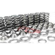 Снимка на Renault Clio RS 2.0 16V valve spring set SPRK-TS1015-F4R Supertech SPRK-TS1015-FR4. Снимка на Renault Clio RS 2.0 16V valve spring set SPRK-TS1015-F4R Supertech SPRK-TS1015-FR4.