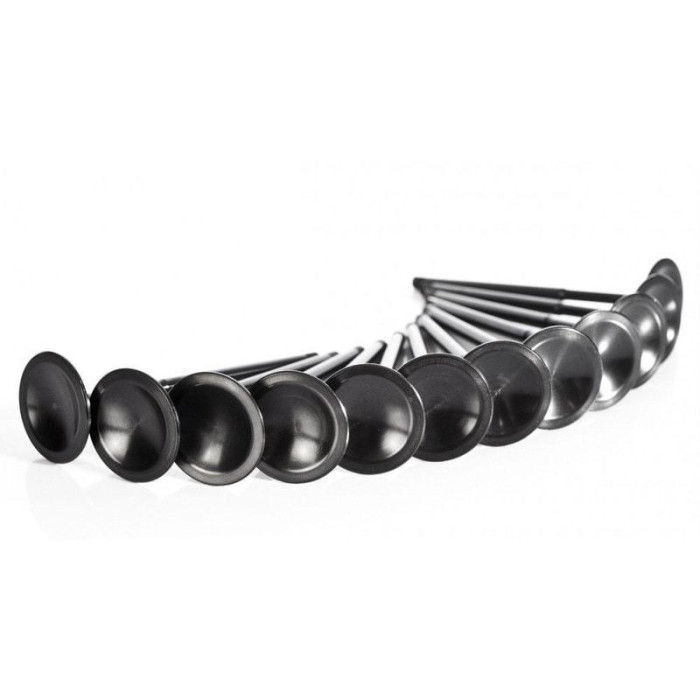 Снимка на Supertech intake Valves suitable for BMW S42 M42 M50 S50 M52 M54 Supertech st-bmw-bmivn