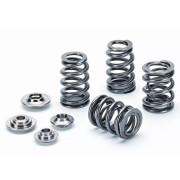 Supertech SPRK-1002 valve spring set fits Toyota GT86 & Subaru BRZ FA20 Supertech sprk-1002-brz