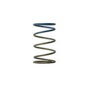 Снимка на Turbosmart Gen4 WG38/40/45/50L 10PSI outer spring - Brown / Blue Turbosmart 2100705 Снимка на Turbosmart Gen4 WG38/40/45/50L 10PSI outer spring - Brown / Blue Turbosmart 2100705