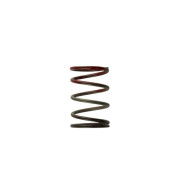 Turbosmart Gen4 WG38/40/45/50L 11PSI medium spring - Brown / Red Turbosmart 2100706