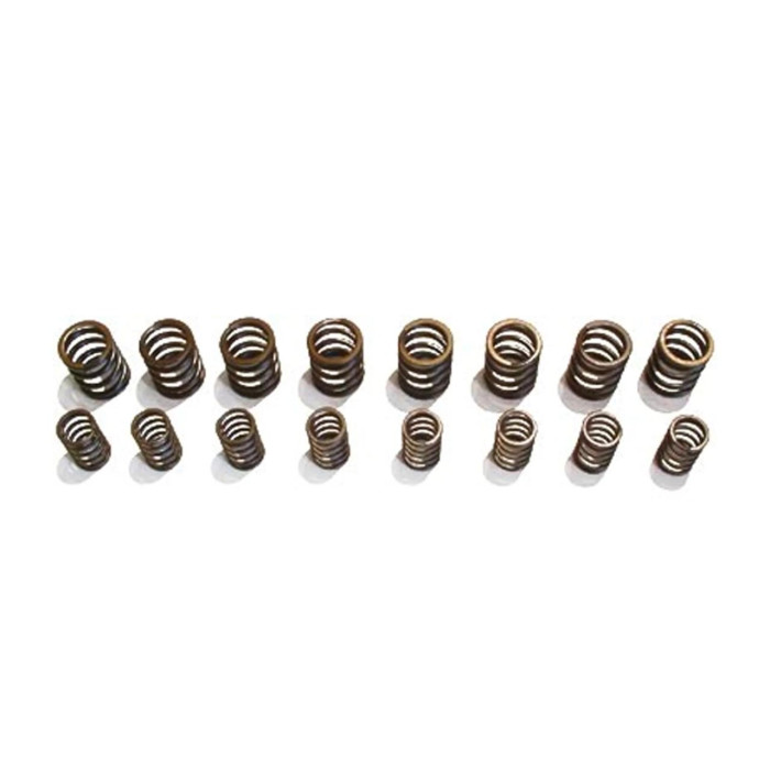 Снимка на VR6 sport valve spring set + washers SCHRICK 21vr008