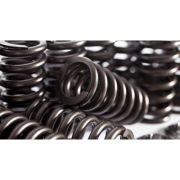 Снимка на VW V6 24V Sports Valve Springs Set FERREA Ferrea fer-24v-srkit Снимка на VW V6 24V Sports Valve Springs Set FERREA Ferrea fer-24v-srkit