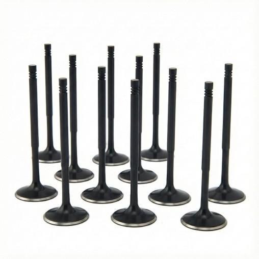 Снимка на VW 1.8T 20v Intake Valve Black Nitride Std (Set of 12) ZRP VI-AUD-001-12