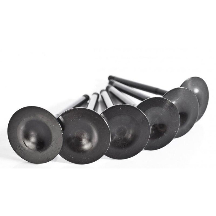 Снимка на VW VR6 12V intake Valves SUPERTECH Supertech st-12v-vwivn