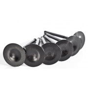 Снимка на VW VR6 12V intake Valves SUPERTECH Supertech st-12v-vwivn Снимка на VW VR6 12V intake Valves SUPERTECH Supertech st-12v-vwivn